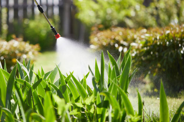 24/7 Emergency Wasp Removal experts in Pomeroy, WA