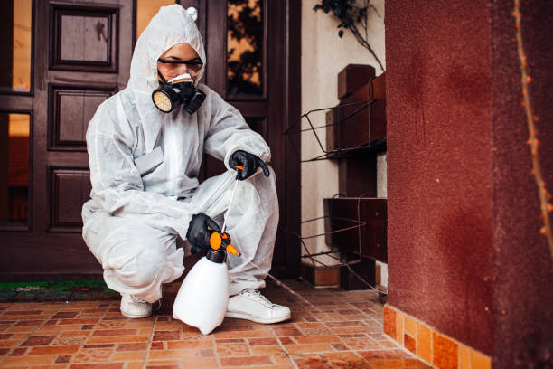 Reliable Wasp Removal contractor in Pomeroy, WA by Show Me Pest Control